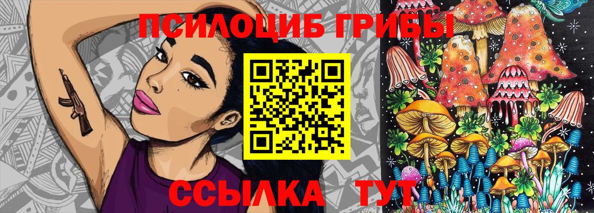 Псилоцибиновые грибы MAGIC MUSHROOMS  Вход с VPN  Гурьевск 