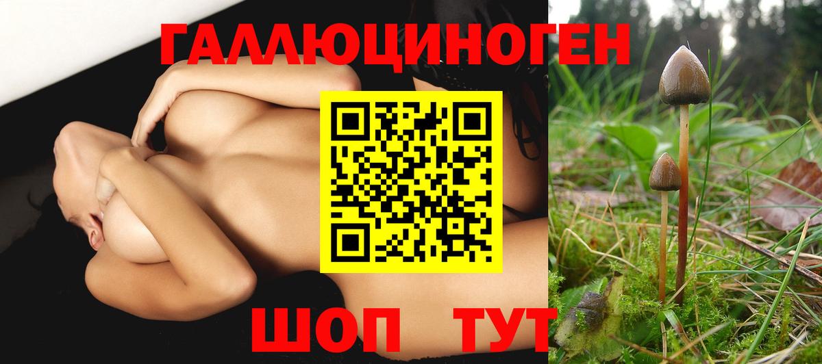 Галлюциногенные грибы GOLDEN TEACHER Гурьевск